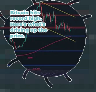 Bitcoin price from beginning