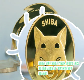 Shiba inu coin cryptocurrency price