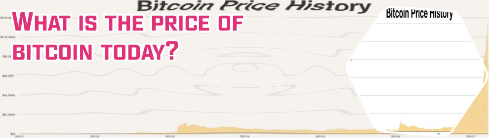 What was the starting price of bitcoin