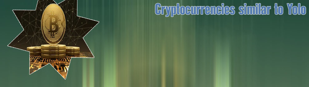Yolo crypto price